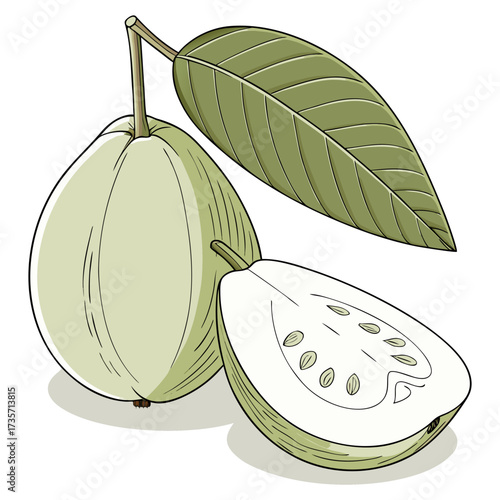 A realistic, high-resolution image of a fresh green guava with a leaf attached, sitting on a clean white background. The guava is slightly pear-shaped with a smooth, waxy skin, light green in color. T