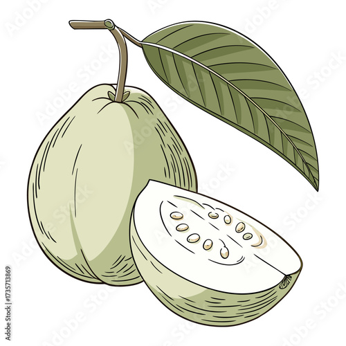 A realistic, high-resolution image of a fresh green guava with a leaf attached, sitting on a clean white background. The guava is slightly pear-shaped with a smooth, waxy skin, light green in color. T