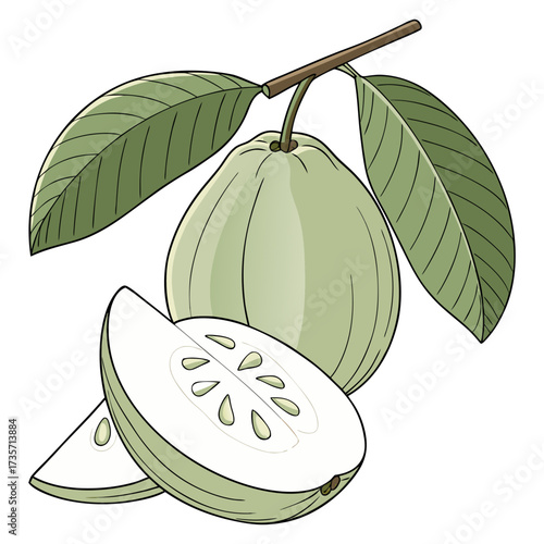 A realistic, high-resolution image of a fresh green guava with a leaf attached, sitting on a clean white background. The guava is slightly pear-shaped with a smooth, waxy skin, light green in color. T
