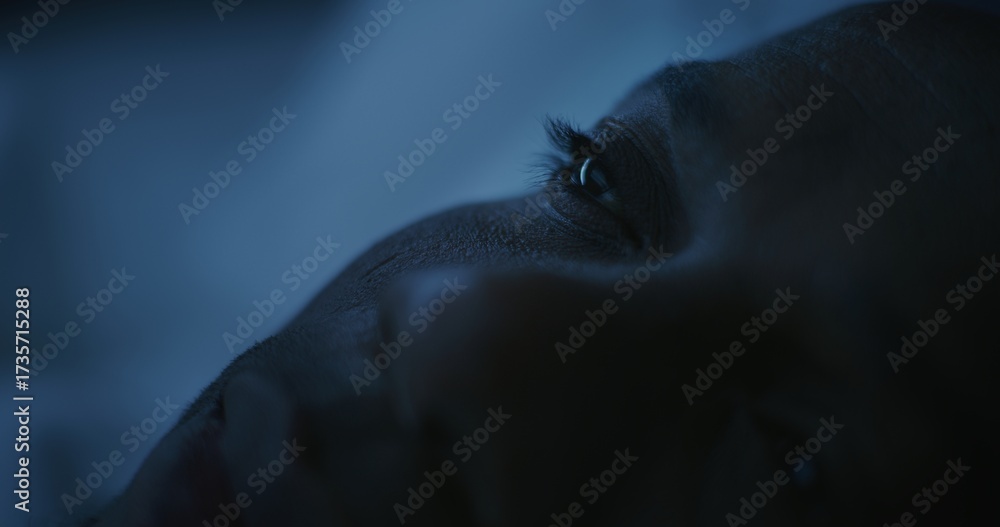 Obraz premium Close up of Man's Face Illuminated by Cold Night Light. African American Man Slowly Drifts Off Sleep After Hard Day. Concept of Insomnia, Poor Rest, Anxiety, and Sleepless Nights. Static Shot.