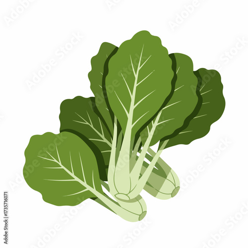 Simple Flat Style Fresh Bok Choy Vegetable Ingredient Food Illustration