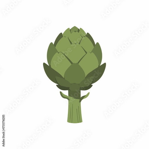 Simple Flat Illustration Artichoke Vegetable Nutrition Ingredient Healthy Food Element