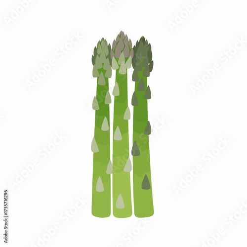Simple Flat Style Fresh Green Asparagus Stalks Vegetable Food Illustration