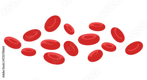 Illustration of several red blood cells scattered on a white background