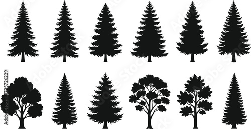 Silhouette Set of Twelve Diverse Trees Including Coniferous and Deciduous Species for Botanical, Educational, Ecological, and Design Illustration Use