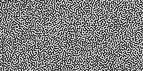 Turing reaction diffusion monochrome seamless pattern with chaotic motion .Linear design with biological shapes. Organic lines in memphis. abstract turing organic wallpaper background .	