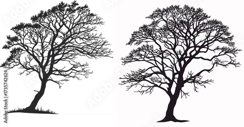 tree silhouette vector
