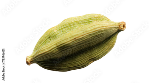 Wallpaper Mural A single whole green cardamom pod spice isolated on a transparent background. Torontodigital.ca