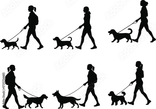 Silhouette of women walking dogs, pet owner with leash, outdoor activity, dog training, exercise, companionship, lifestyle illustration, animal care