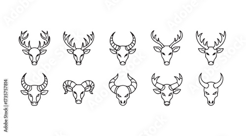 Vector art of animal heads
