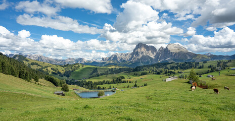 Foto auf Acrylglas Alpen Hiking trail at Alpe di Siusi in Italian Dolomites, South Tyrol.  © borisbelenky
