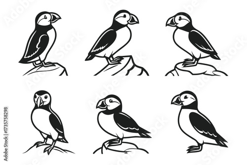 Minimalist atlantic puffin icon set