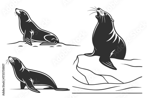 Minimalist sea lion icons set with nautical elements