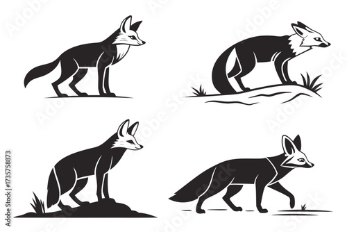 Minimalist bat eared fox icon set