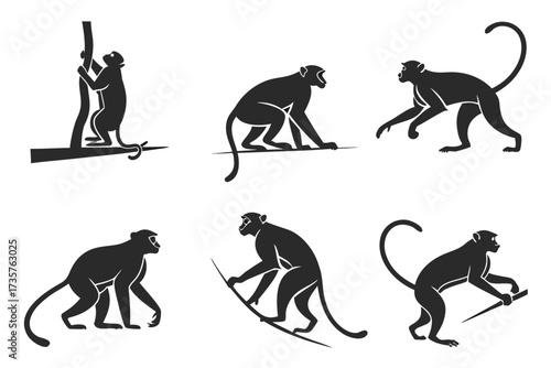 Minimalist crab eating macaque icons set