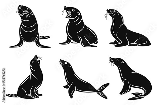 Cute seal pup minimalist icon set