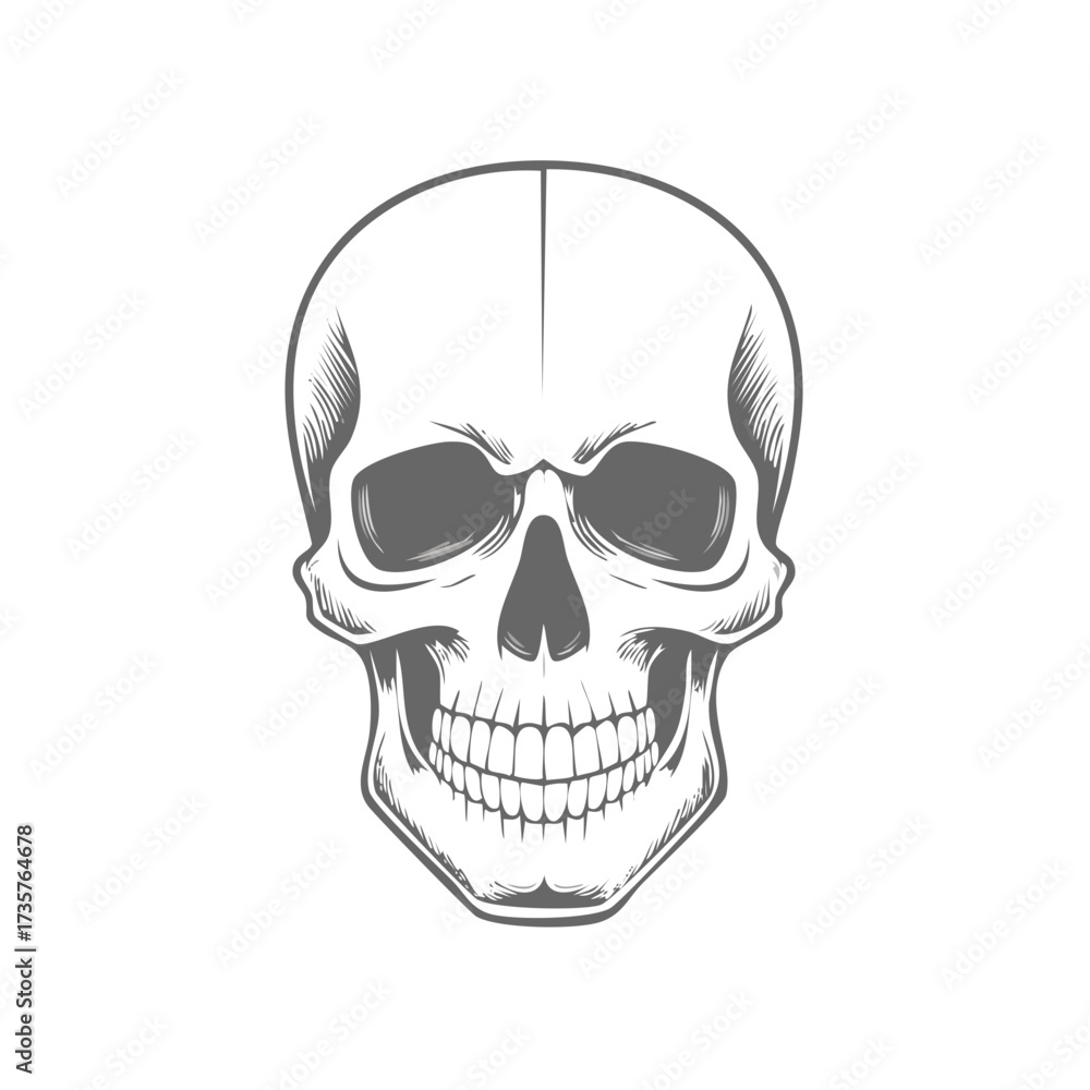 Fototapeta premium Vintage Engraved Style Human Skull Head Illustration Facing Forward Graphic Element