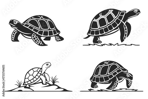 Minimalist desert tortoise icon set