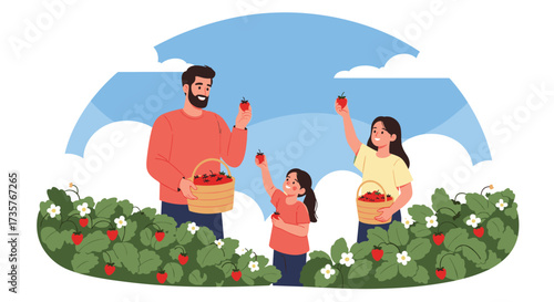 Family enjoying fresh strawberry picking season in the countryside.
