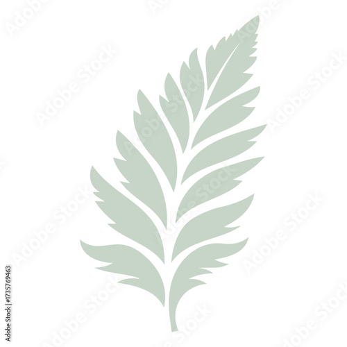 Illustration of a light green fern leaf with symmetrical fronds on a white background for botanical design