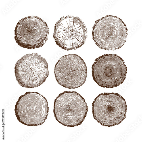 Vector illustration showing nine detailed cross-sections of tree trunks highlighting unique growth rings and textures. This design is perfect for educational, artistic, or decorative purposes.
