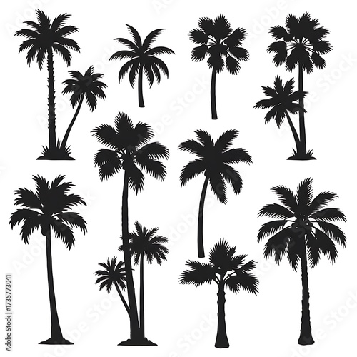 Palm Silhouette Symphony
