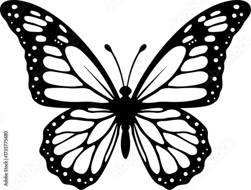 Butterfly Silhouette Set with Decorative Wing Pattern