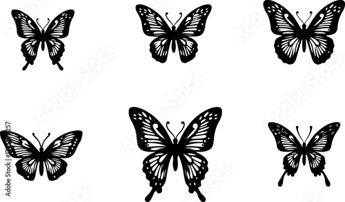 Tropical Island Beach House and Elegant Butterfly & Cat Silhouette