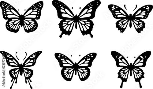 Tropical Island Beach House and Elegant Butterfly & Cat Silhouette