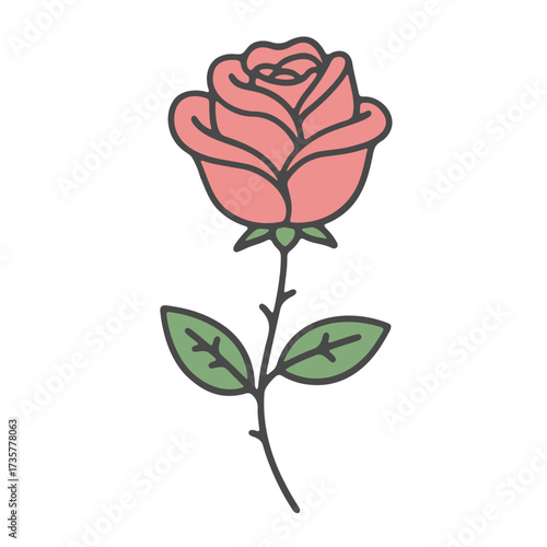 Illustration of a single pink rose with green leaves and a thorny stem on a white background view