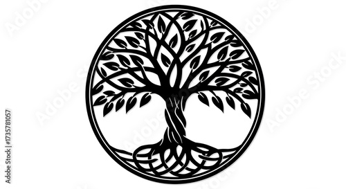 Eternal Roots