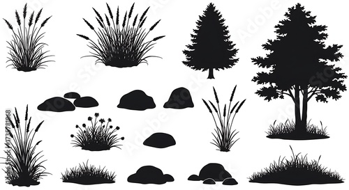 Whispers of the Wild