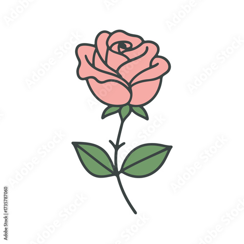 Illustration of a light pink rose with green leaves and a dark outline on a white background artfully drawn