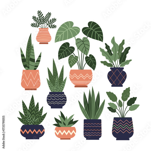 A diverse collection of potted houseplants displaying various leaf shapes and textures in decorative containers.
