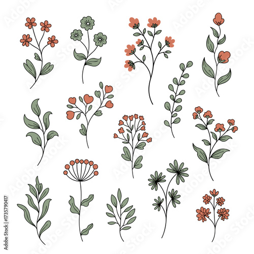 A charming collection of delicate wildflowers in various botanical illustrations.