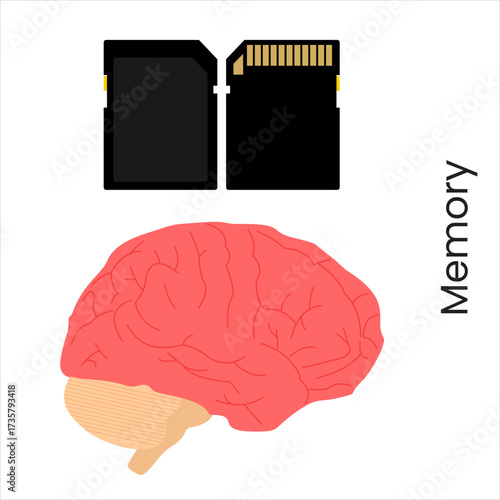 Memory card placed next to a brain, symbolizing two types of information storage, flat art design style.
