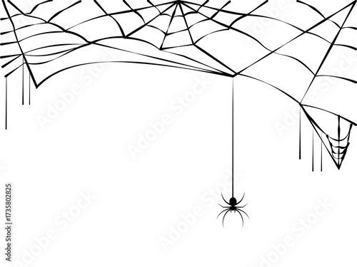 Halloween Spider Silhouette, Vector Illustration