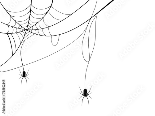 spider web halloween frame, vector illustration