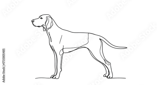 Elegant dog line art illustration continuous one line drawing simple vector graphic isolated on whit