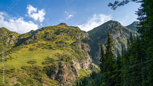 summer in the mountains. a beautiful mountain gorge