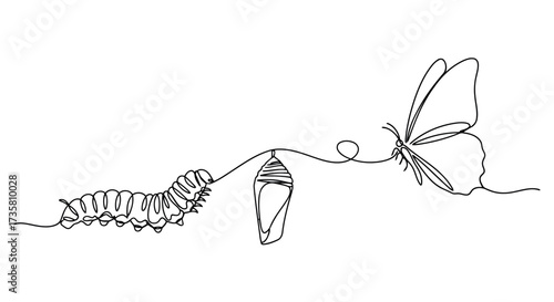 Continuous line drawing of caterpillar cocoon and butterfly metamorphosis concept vector illustratio