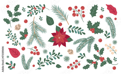 Christmas or Winter Holly Leaves, Mistletoe Branches, Berries, Poinsettia, Christmas Star, Cones and Flowers isolated on white background. Vector hand drawn Winter Elements with Leaf, Fir, Pine Branch