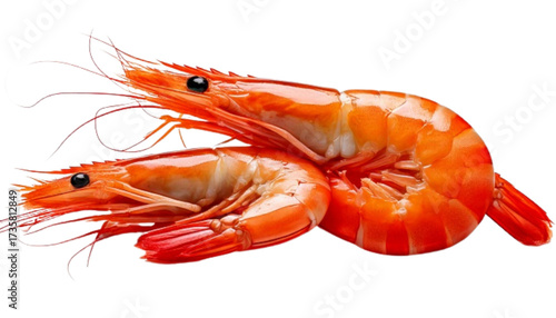 Raw seafood duo shrimp and prawns assorted, isolated on transparent background