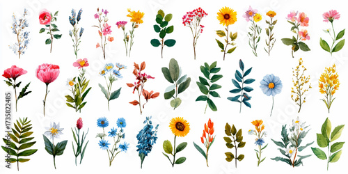 Pastel Watercolor Flower Set | Dreamy Floral Botanical Illustration