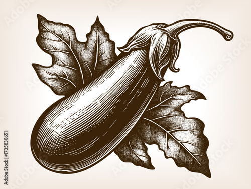 whole eggplant with stem, symbolizing agriculture, cooking, gardening, and fresh organic produce sketch engraving generative ai vector illustration. Scratch board imitation. Black and white image.