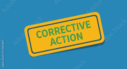 Corrective action plan process improvement and management guide