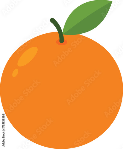 vector illustration of an orange fruit