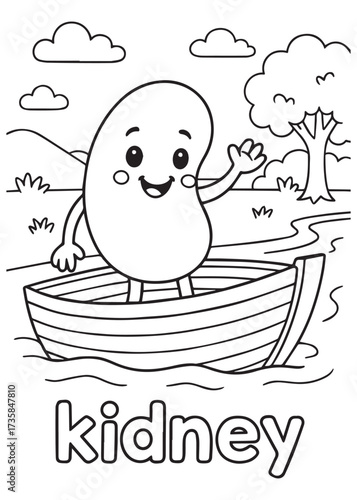 coloring book kidney rowing boat on river, anatomy cartoon for kids
