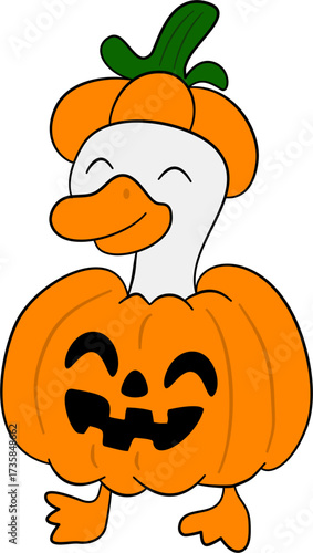 Goose Cosplay Costume, Carved Pumpkin