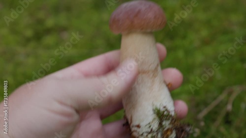 Macro Shot of Mushroom Rotating in Hand